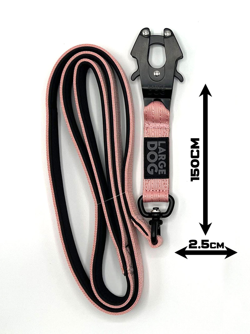 Chargez l'image dans la visionneuse de la galerie, Laisse pour chien 150 cm – Largeur 2,5 cm