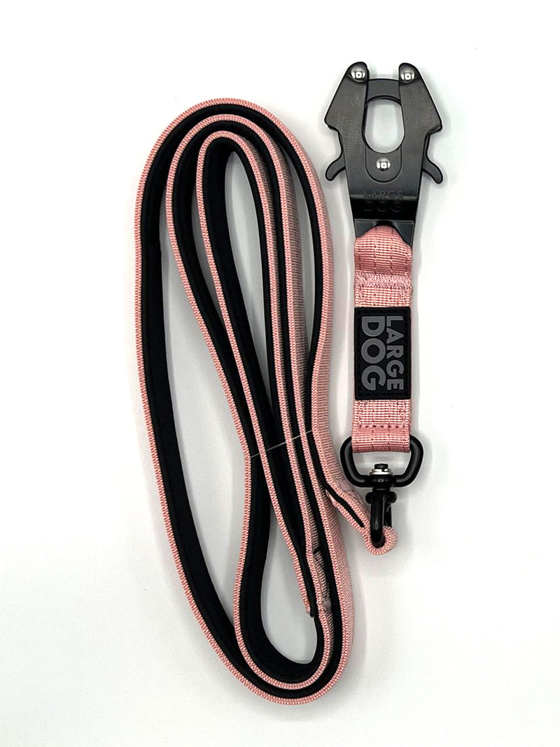 Chargez l'image dans la visionneuse de la galerie, Laisse pour chien 150 cm – Largeur 2,5 cm