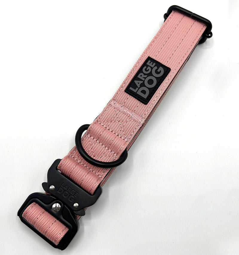 Chargez l'image dans la visionneuse de la galerie, Pack Collier + Laisse