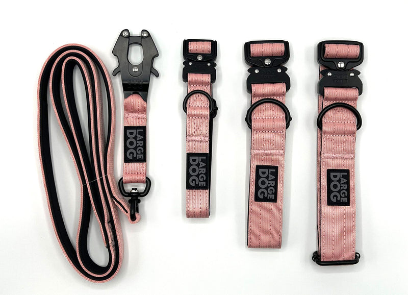 Chargez l'image dans la visionneuse de la galerie, Pack Collier + Laisse