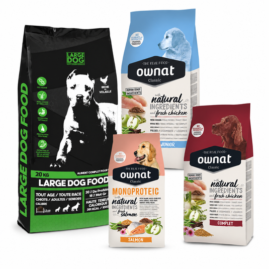 Croquettes pour chien