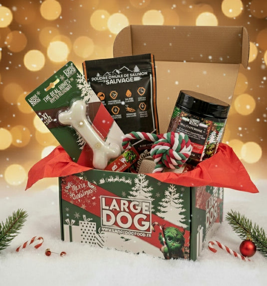 🎄 Coffret de Noël 🎅