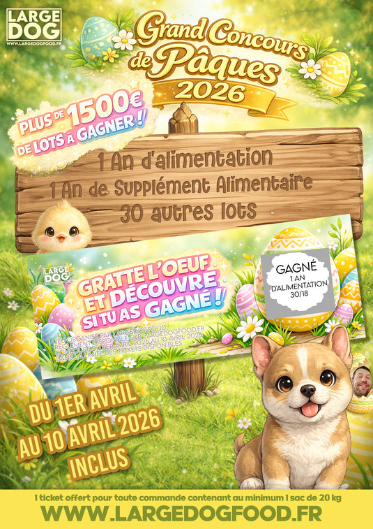 GRAND CONCOURS DE PÂQUES 2026