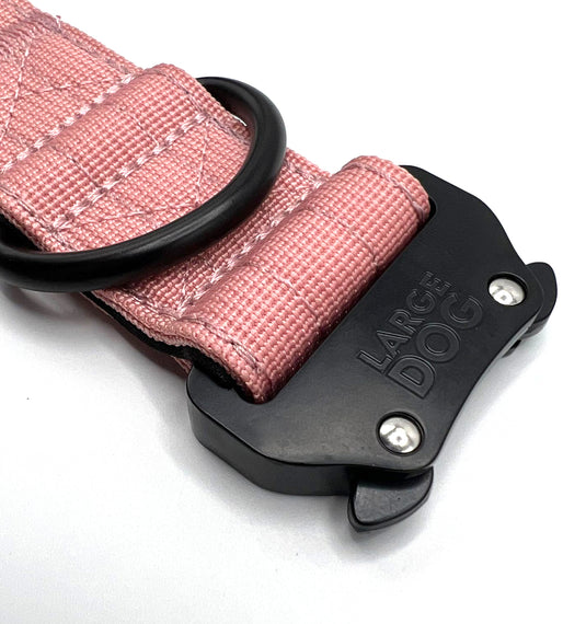 Collar + Leash Pack