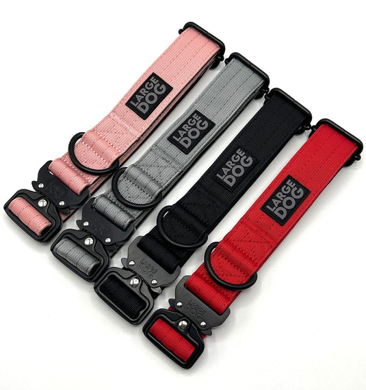 Collar + Leash Pack