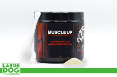 Muscle Up 