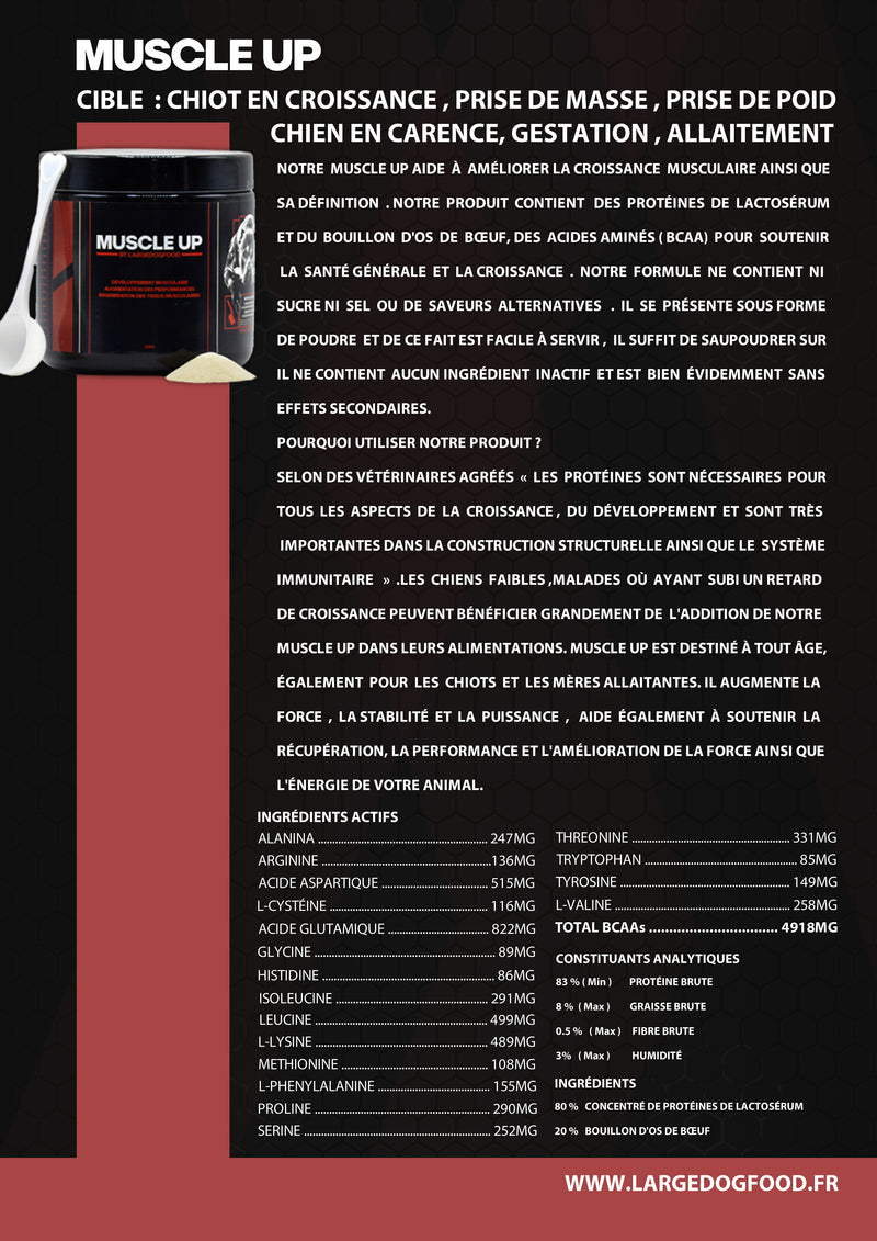 Carica immagine in Galleria Viewer, Pacchetto totale [Muscle Up + Mobilità + Multi Vitamin +]
