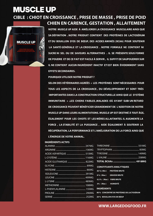 Pacchetto totale [Muscle Up + Mobilità + Multi Vitamin +]