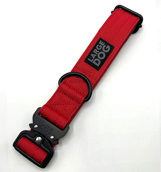 Collar + Leash Pack